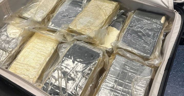 Courts: Man charged after 22kg of cocaine allegedly uncovered in suitcases at Sydney Airport