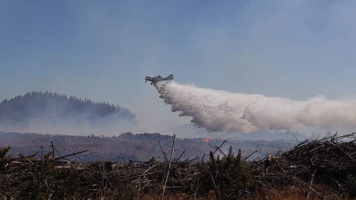 Incendios forestales: Conaf activa "Botón Rojo" en más de 100 comunas en todo el país para este fin de semana
