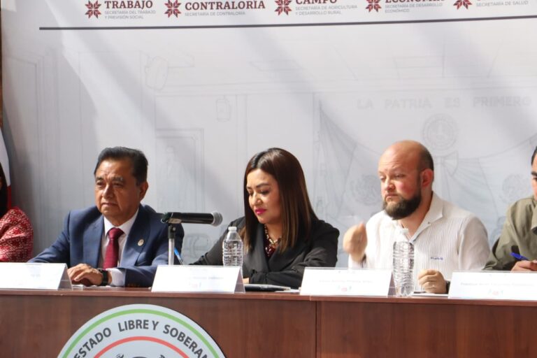 Complicado frenar apropiación cultural de artesanías hidalguenses, asegura secretaria de Cultura.