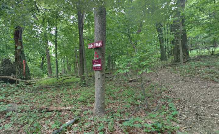 Body found in N.J. nature preserve ID’d as local resident