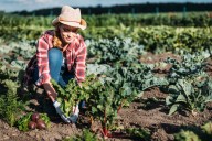 Fresh Isn’t Always Safe: The Real Journey of Produce From Farm Soil to Your Fork