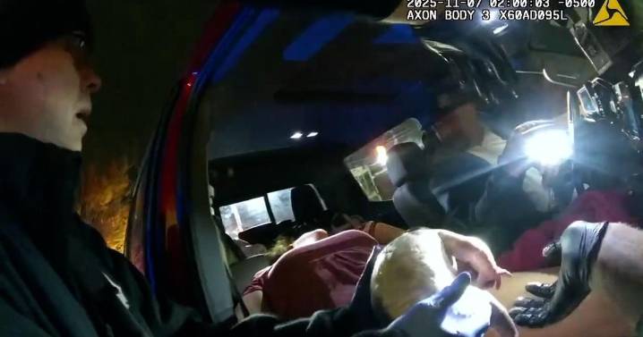 Police officer delivers baby during traffic stop with brother's help over radio