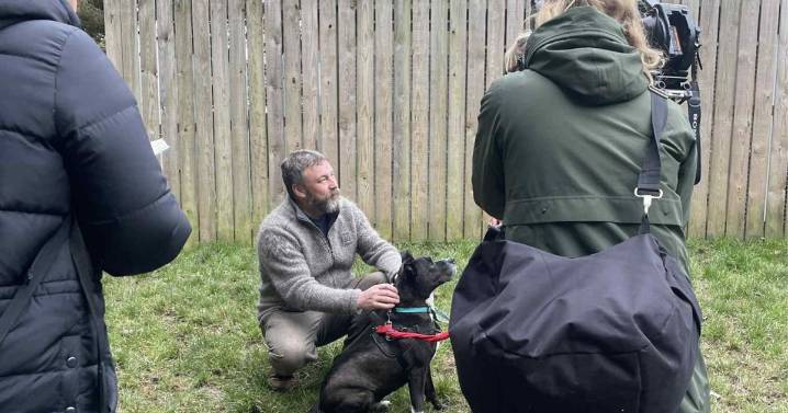Lanarkshire pup stars on new BBC Alba series all about rescue dogs