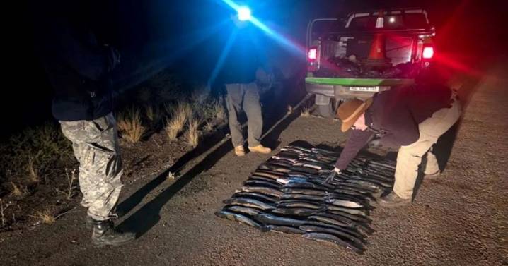 Pesca clandestina de truchas en Neuquén: guardafaunas recorren hasta restaurantes para controlarla