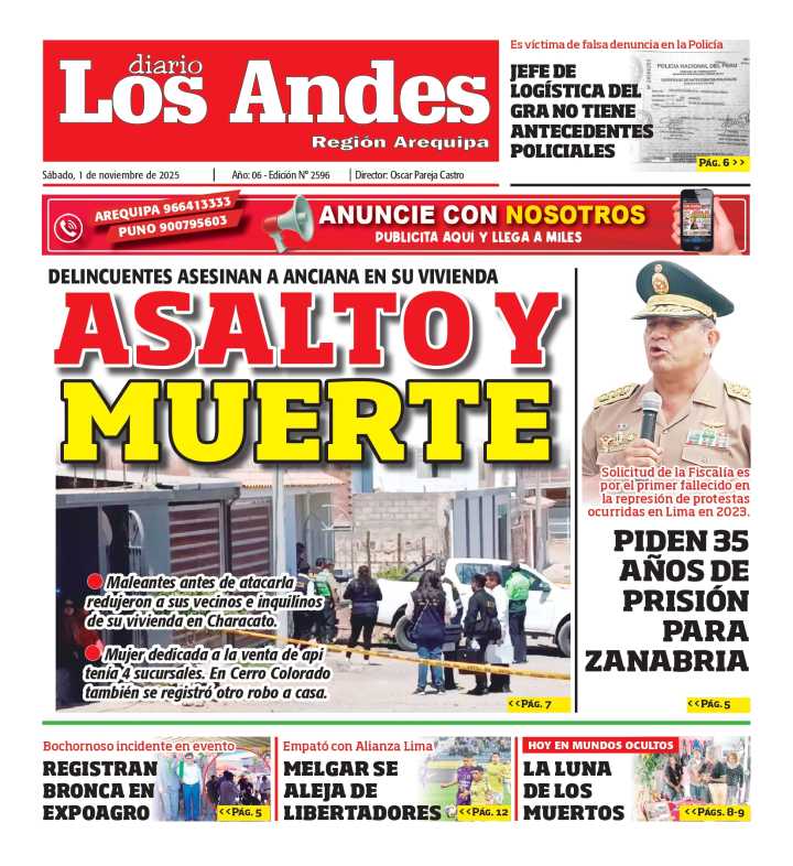 AREQUIPA: Diario Los Andes 01/11/2025