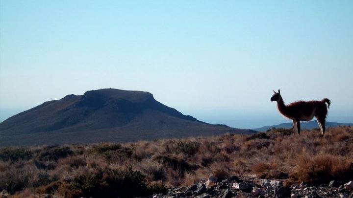 La ruta turística que conecta los sabores y paisajes más lindos de Vaca Muerta