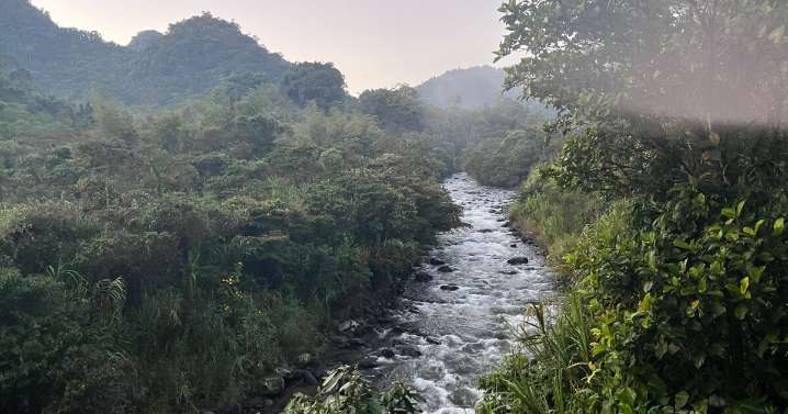 How the Rights of Nature movement redefines human