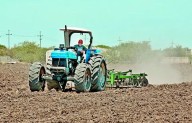 México y EU refuerzan colaboración agroalimentaria previo a revisión del T