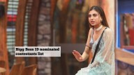 Bigg Boss 19: 5 contestants to face eviction, Farrhana in list