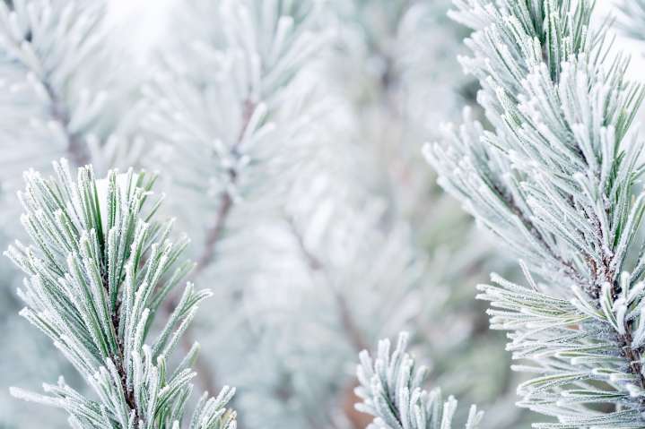 Snow-covered roads expected Tuesday morning: Check here on school delays and closings