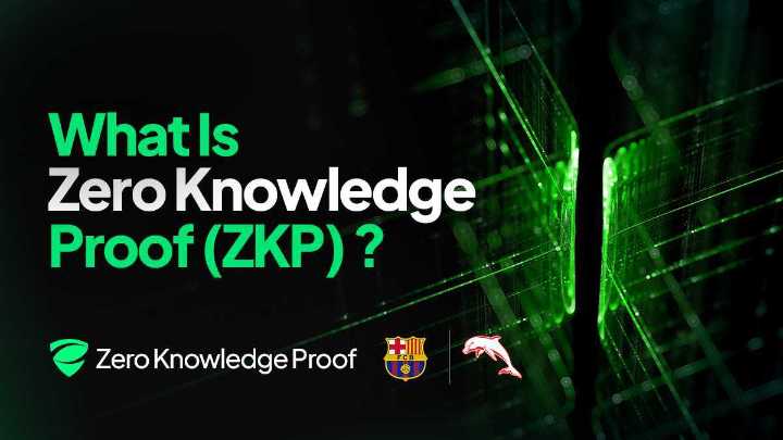 How Zero Knowledge Proof Works: The 200M Daily Auction Cycle and Proof Pods Behind Its Private