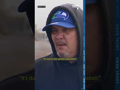 Orca calf J-64 likely dead, Center for Whale Research to monitor future encounters