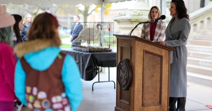 Help name the turkeys for Michigan Governor Whitmer's 2025 turkey pardon
