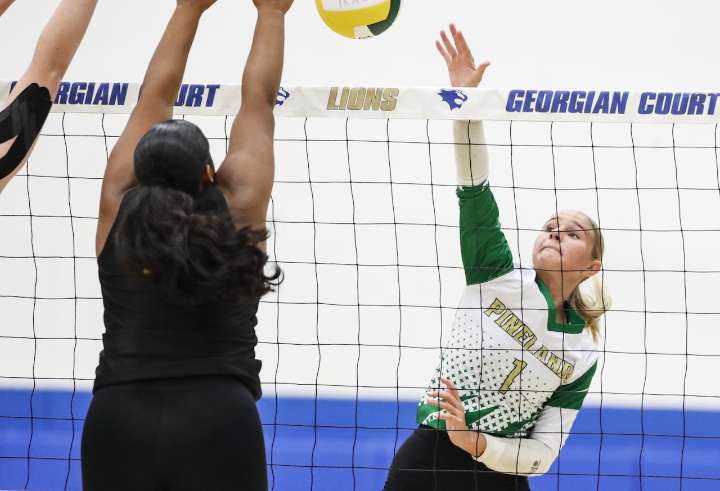 Your picks: Top Group 2 players in New Jersey high school girls volleyball