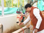 India's Women Cricketers Make History with World Cup Win