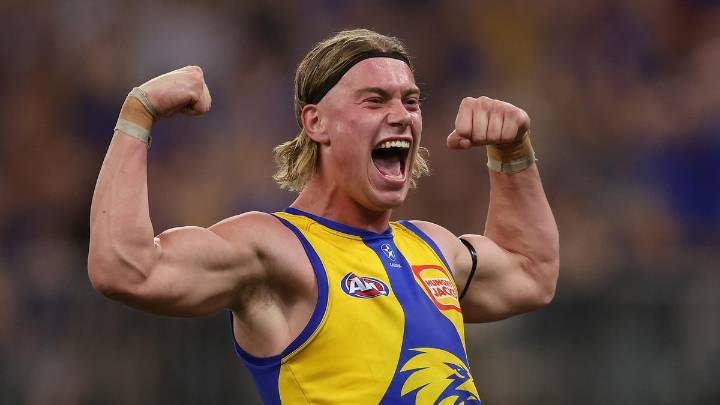 opinion opinion AFL
Video
Comments