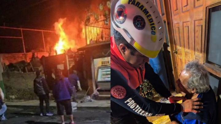 ¡Fogata mortal! Incendio deja 5 perros sin vida