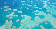 Legal loopholes threaten reef, ex-Treasury boss warns