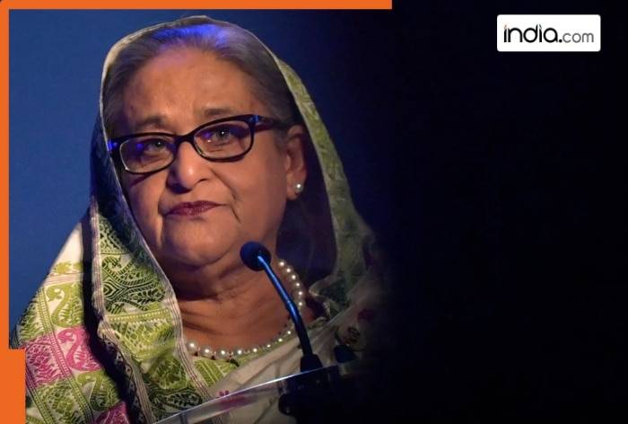 Why is November 17 a very special date for Sheikh Hasina apart from the death sentence?