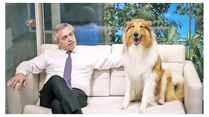 Falleció Dylan, el perro de Alberto Fernández que lo acompañó en su paso por la Rosada