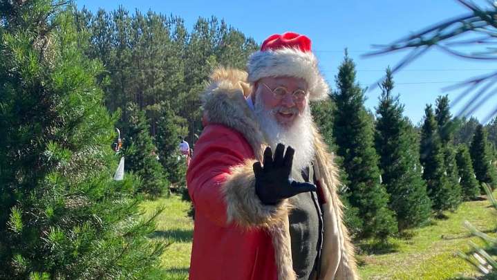 Augusta families can cut down their own Christmas trees at these farms