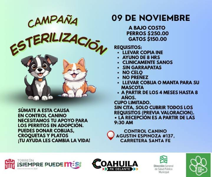 Anuncian campaña de esterilización para perros y gatos este domingo