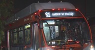 Police search for South LA Metro bus robbery and assault suspect