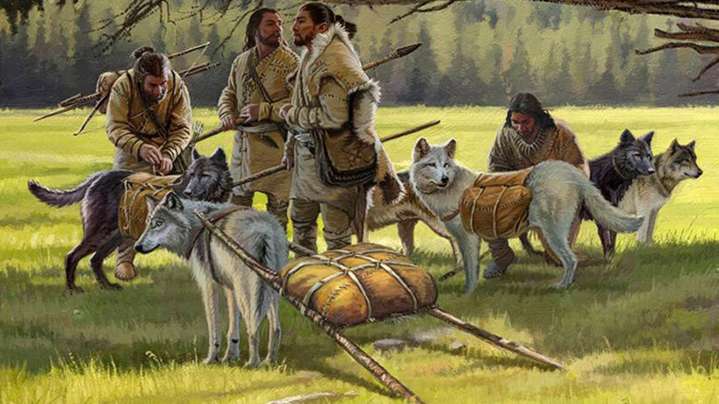 Nuevos análisis de ADN indican que el perro es el ‘mejor amigo’ del hombre desde hace 10.000 años