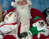 Humane Society of San Bernardino Valley will hold Santa Paws event