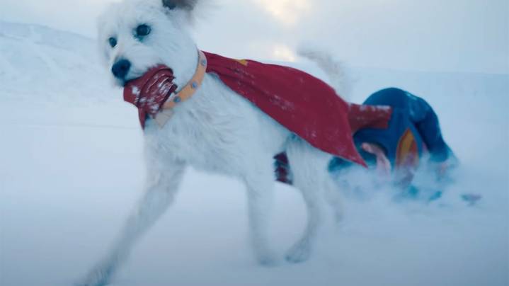 30 of the Best New Movies Streaming on HBO Max