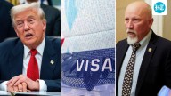 ‘Freeze all immigration’: US lawmaker amid Trump's shifting stance on H1B