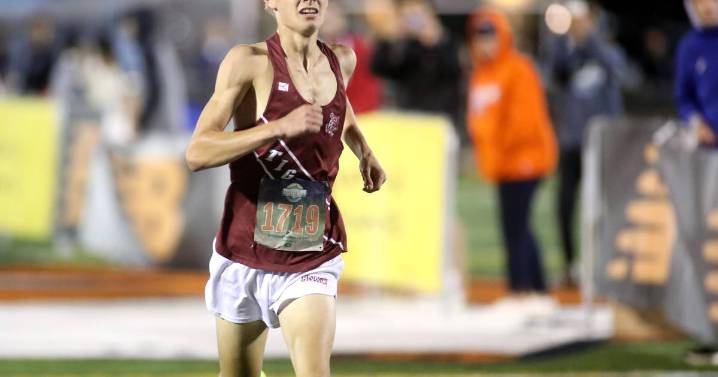 Hopes run high for Herald