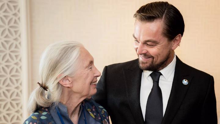 El emotivo mensaje de Leonardo DiCaprio a Jane Goodall en su funeral: "Nos recordó que el cambio comienza con la compasión"