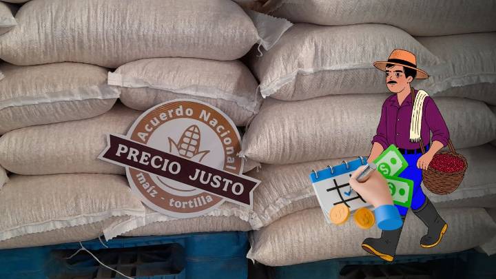 Abren en Durango pre-registro para acopio de maíz y frijol; ¿en qué bodegas será?