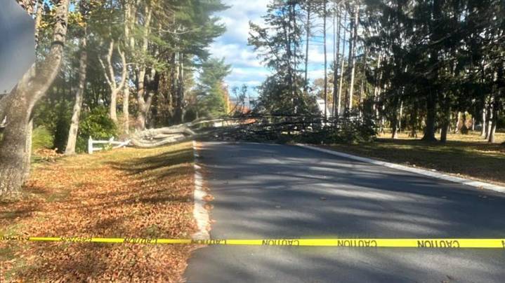 Thousands without power in Maine due to strong wind gusts, downed trees