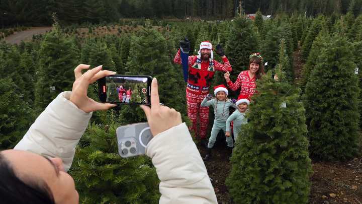 Tree farms around Kitsap ready for holiday traditions