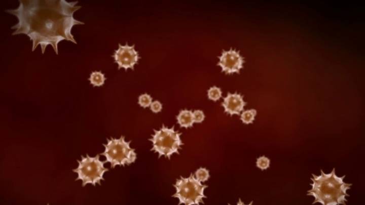 ‘Don’t ignore the symptoms’: Expert urges public to be on alert as pneumonia season peaks