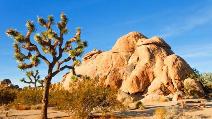 California National Park Visitor’s Toilet Paper Mistake Blamed For Destroying Its Most Iconic Feature