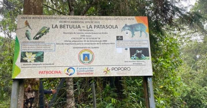 La Betulia–La Patasola: la reserva clave que protege el agua y la biodiversidad en Salento