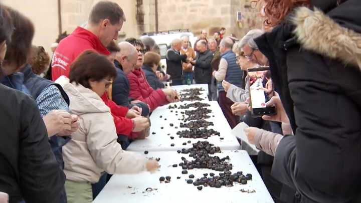 Eljas celebra 'As Borrallás', una fiesta que une Extremadura y Portugal More