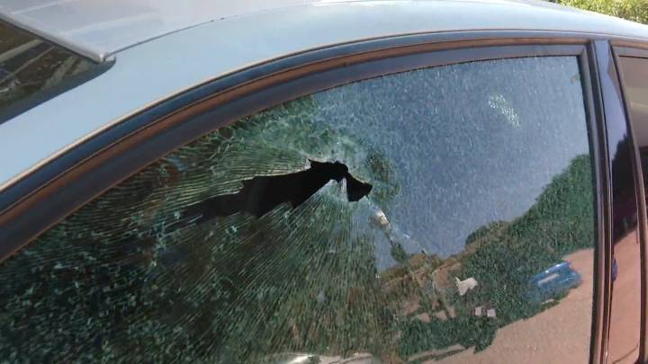 Roban en el interior de más de cuarenta coches de la localidad vizcaína en tan solo dos meses