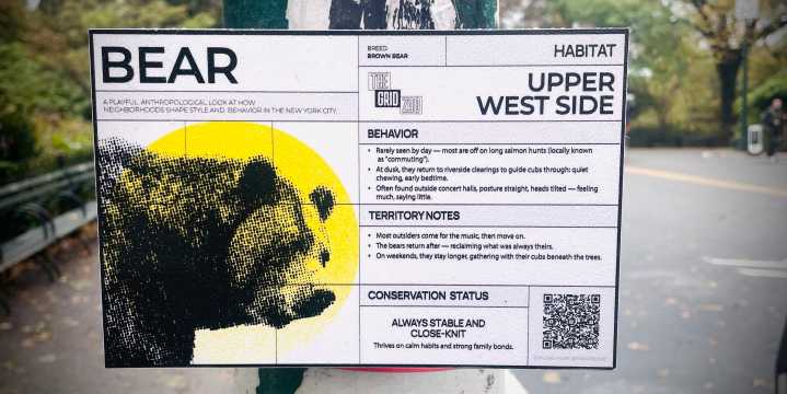 Going a Little Bear on the Upper West Side