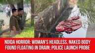 Noida Horror: Woman’s Headless, Naked Body Found Floating In Drain; Police Launch Probe