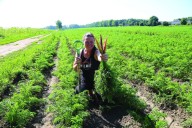 NFU executive re-elected | The Shoreline Beacon