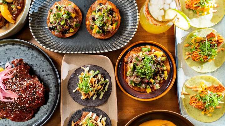 Seminole Heights adds a modern Mexican food restaurant to its expanding repertoire
