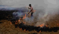 Air pollution: SC asks Punjab, Haryana to apprise about steps taken against stubble burning