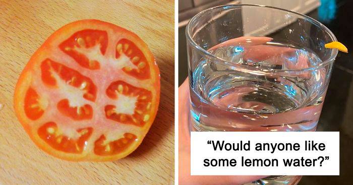 ‘Failed Harvest’: People Are Sharing What They Failed To Grow In 30 Funny Pics