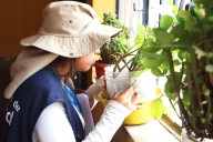 Lima Cercado y SJL : más de 22 mil viviendas serán inspeccionadas para prevenir el dengue