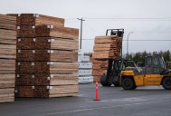 Police clear protesters from Vancouver Island logging blockade