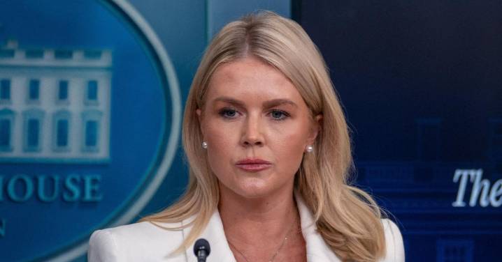 Karoline Leavitt Taunted After Family Member Gets Detained by ICE and Awaits Deportation: 'Karma Is Very Patient'